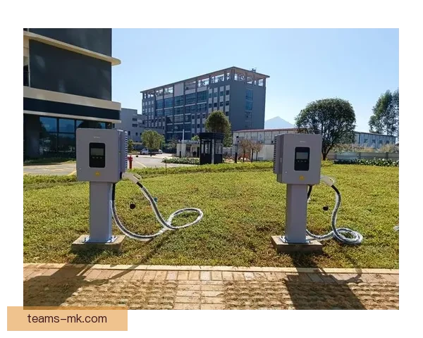 MK体育登录入口全面解析畅享极速体验一站式体育服务平台