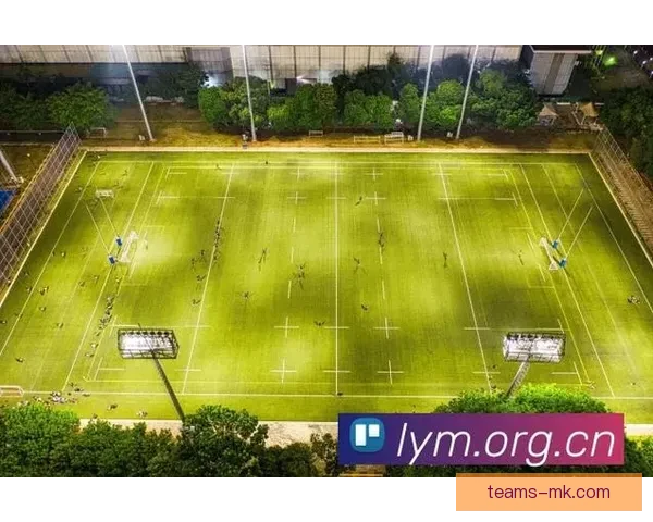 世界杯精彩对决实时竞猜平台精准比分预测乐享互动体验