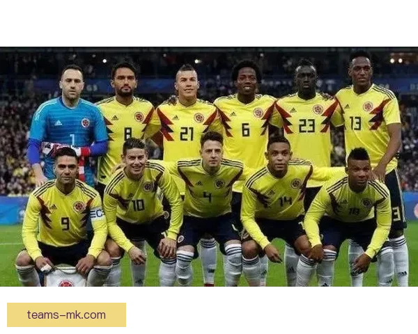 2026世界杯冠军争夺格局与黑马球队走势全面预测分析